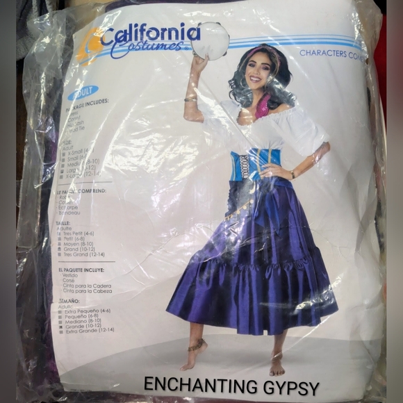 🎃California Costumes Enchanting Gypsy L - Picture 2 of 3